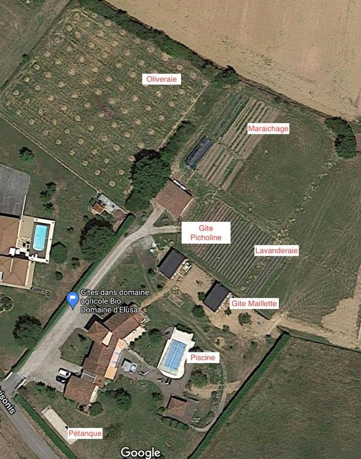 Domaine D'Elusa Vic-Fezensac Esterno foto