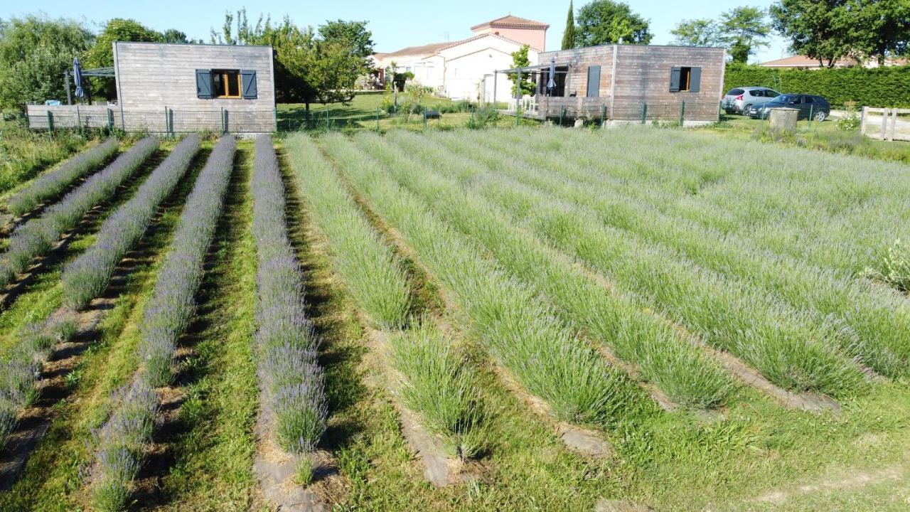 Domaine D'Elusa Vic-Fezensac Esterno foto