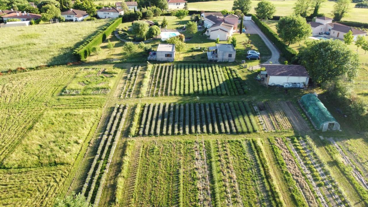 Domaine D'Elusa Vic-Fezensac Esterno foto