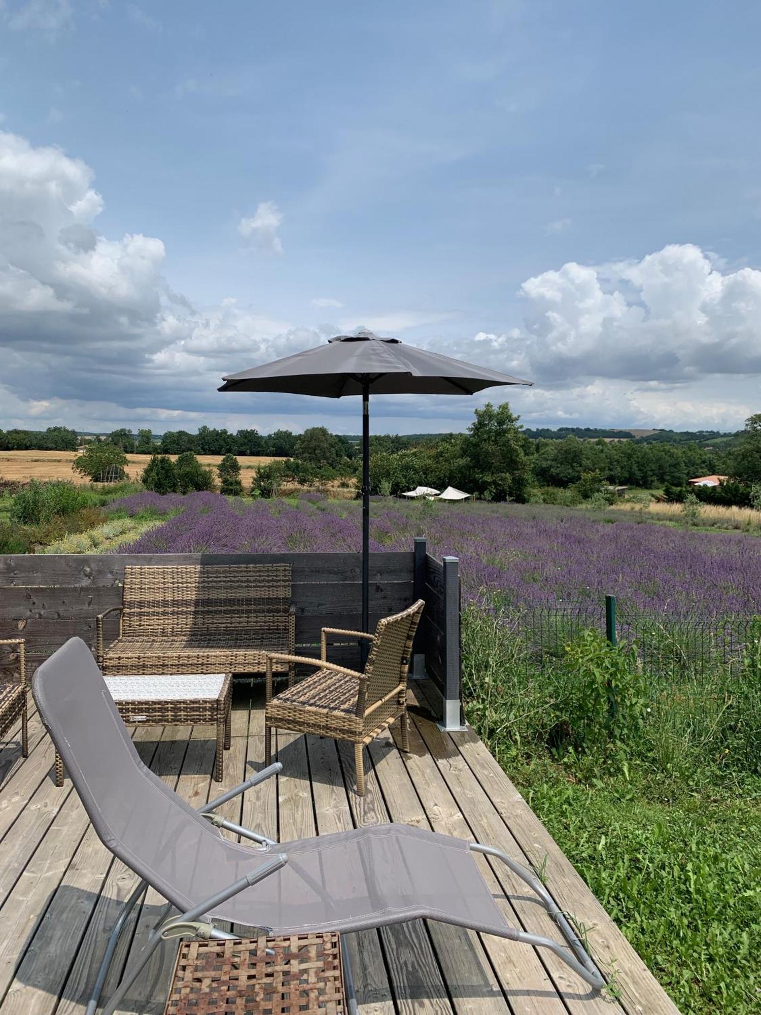 Domaine D'Elusa Vic-Fezensac Esterno foto